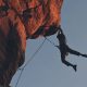 Best Climbing Harness